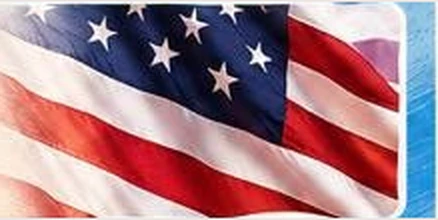 United States flag from the Gracie Barra Coppell Veterans Day flyer