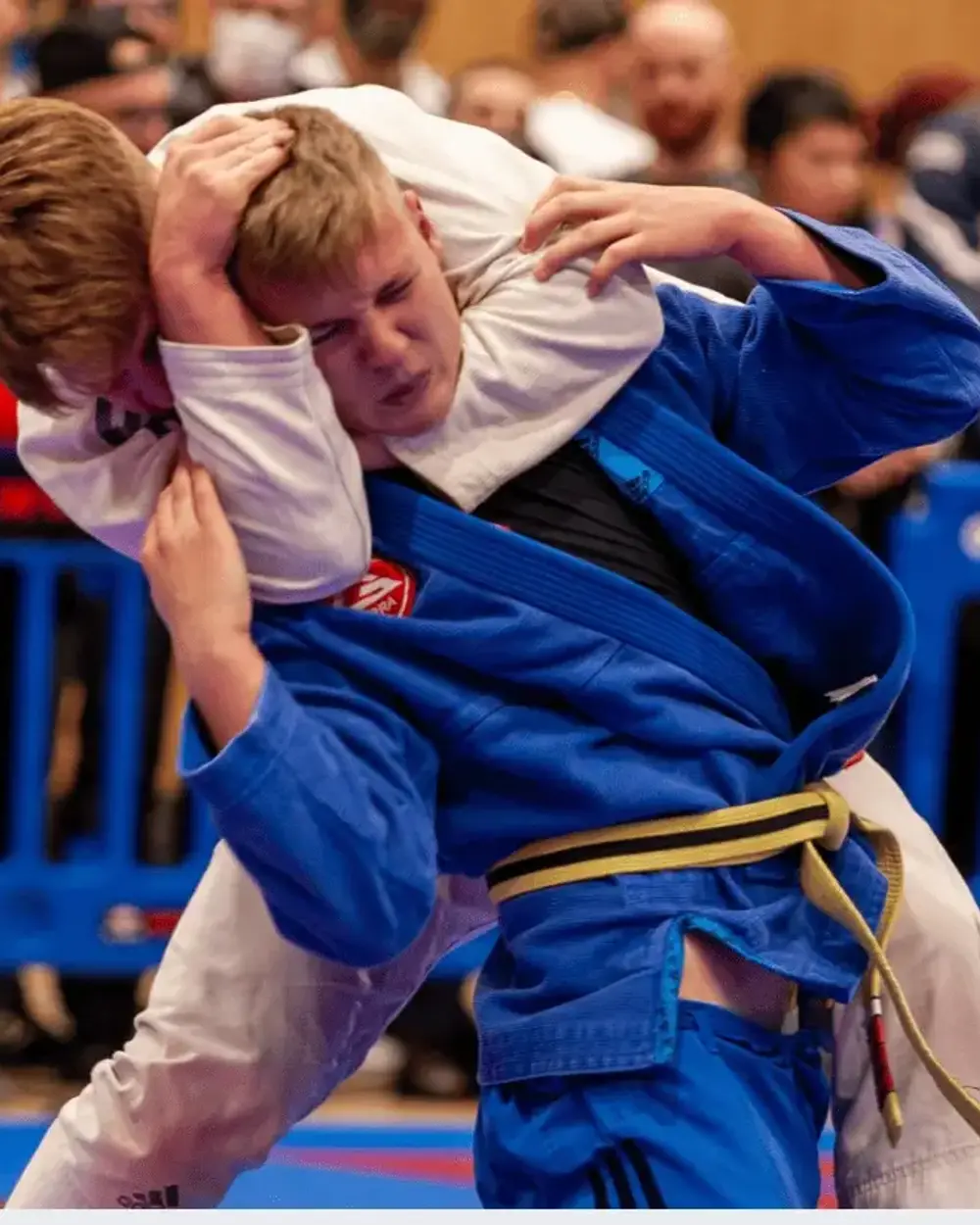 Adult jiu-jitsu